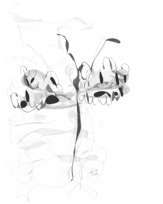 Édition limitée - Libellule noir et blanc