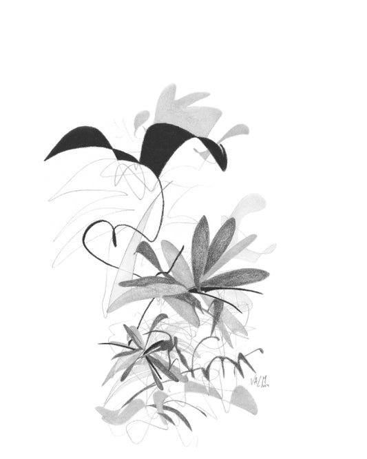 Édition limitée - Envol noir et blanc