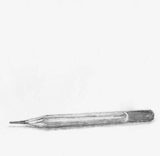 Atelier de dessin d'observation