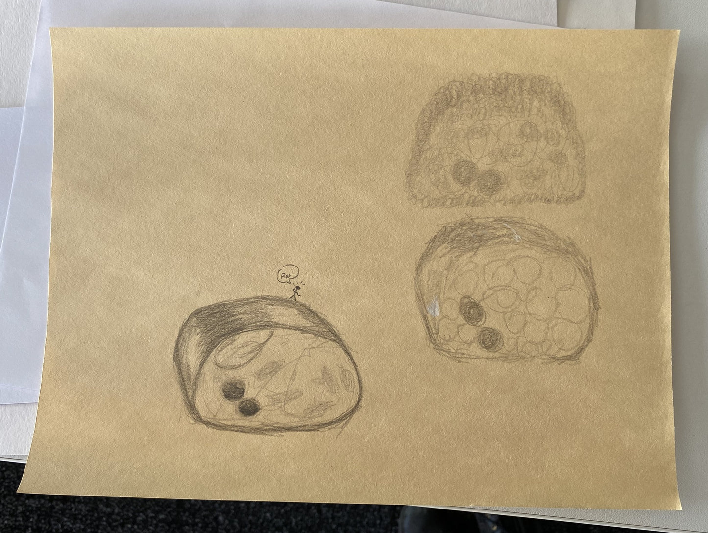 Atelier de dessin d'observation